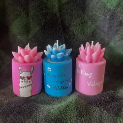 Maceticas positivas 😁