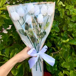 Ramo de tulipanes XL
