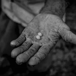 "Del Grano o Semilla"