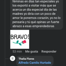 Comentarios 