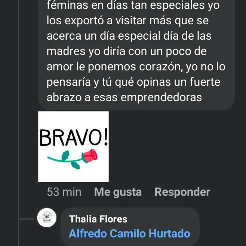 Comentarios 