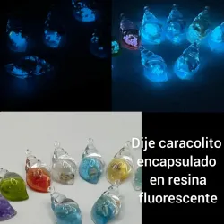 Dijes caracol encapsulado natural en resina Fluorescente 