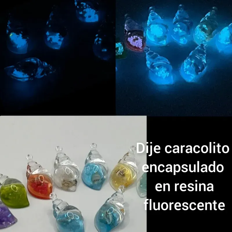 Dijes caracol encapsulado natural en resina Fluorescente 