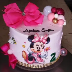 Mini mause cake