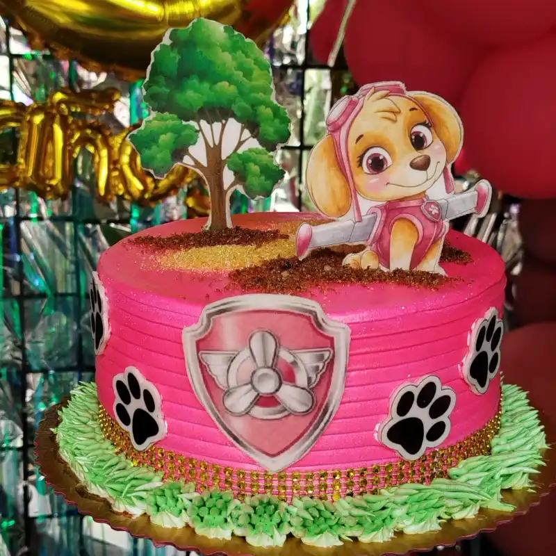 Paw patrol