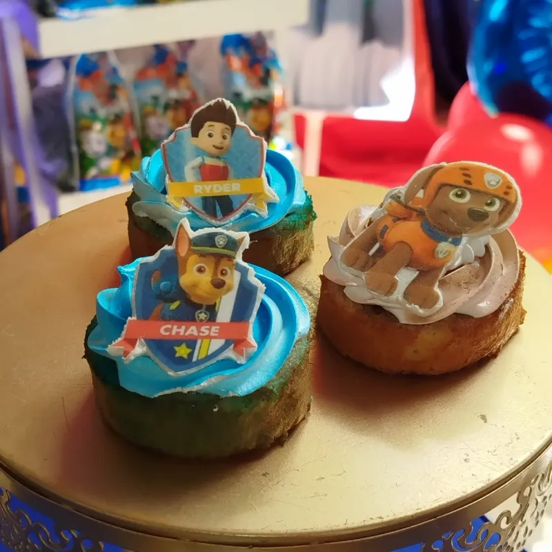 Rollos gitanos Paw Patrol