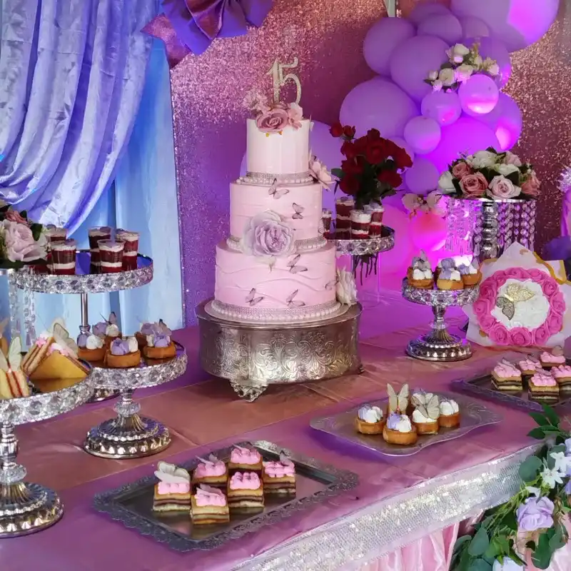 Rosado con mariposas para quinceañera 