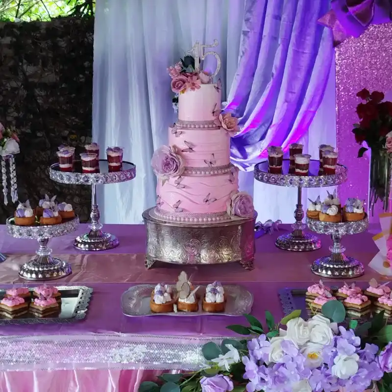 Rosado con mariposas para quinceañera 