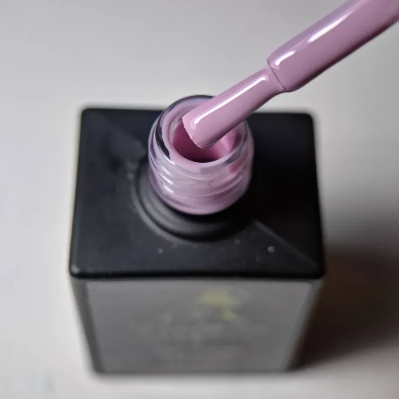 Fuchsia #01