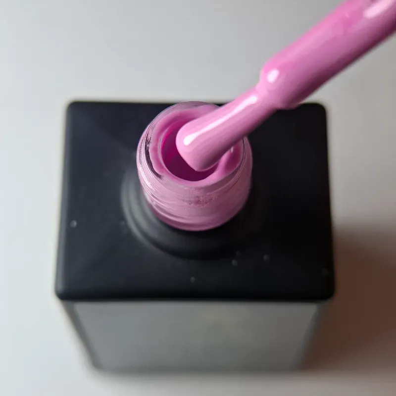Fuchsia #02