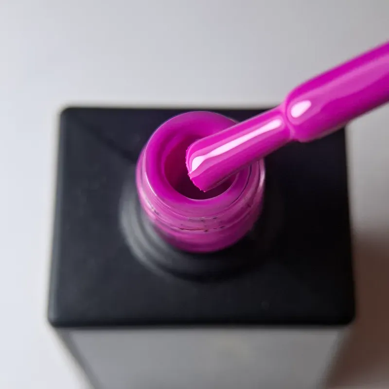 Fuchsia #04