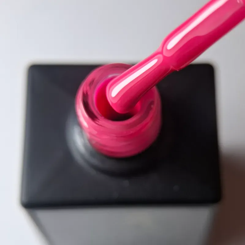 Fuchsia #09