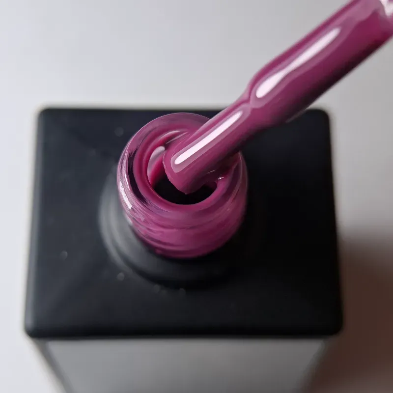 Fuchsia #10