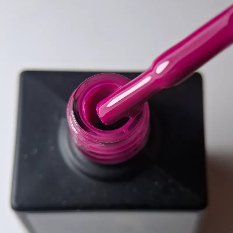 Fuchsia #11