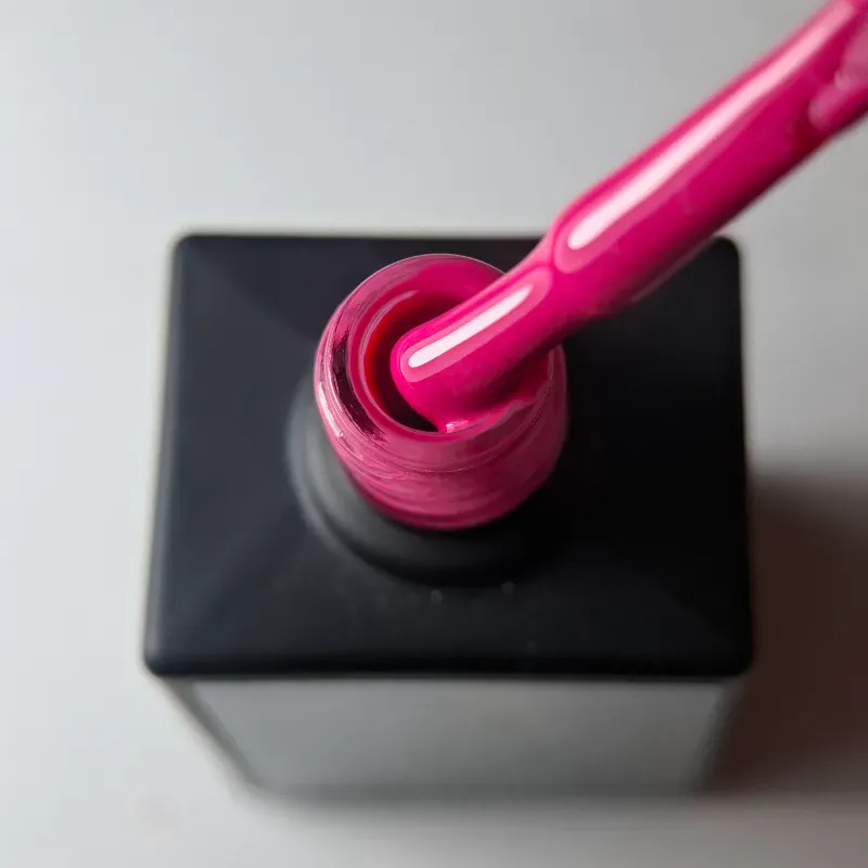 Fuchsia #13