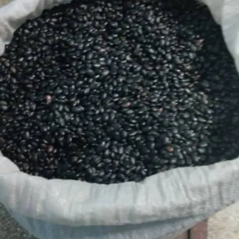 Frijoles negros 👌
