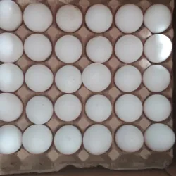 Huevos
