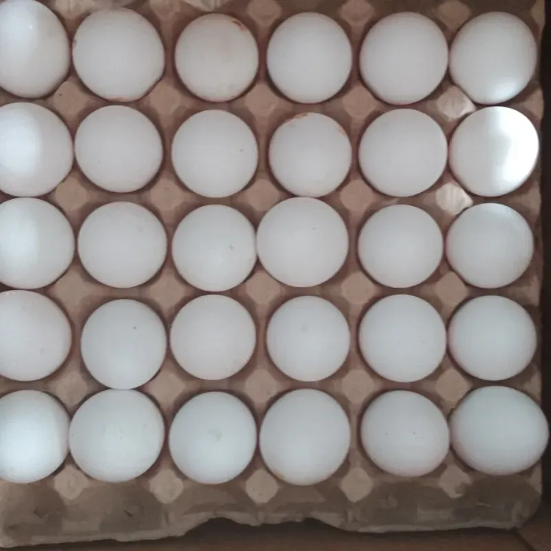 Huevos