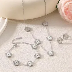 Conjunto de acero inoxidable