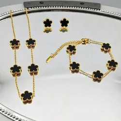Conjunto de acero inoxidable