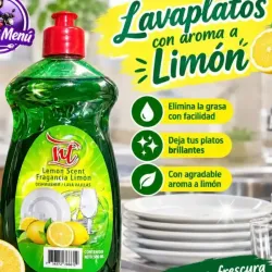 Lavaplatos Nt 500ml