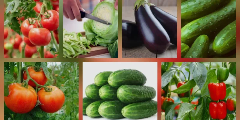 Combos de Vegetables ( 12 a 15 lbs )