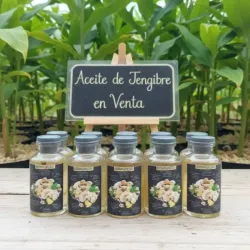 ACEITE DE JENGIBRE ✨