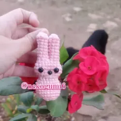 Bunny Beep