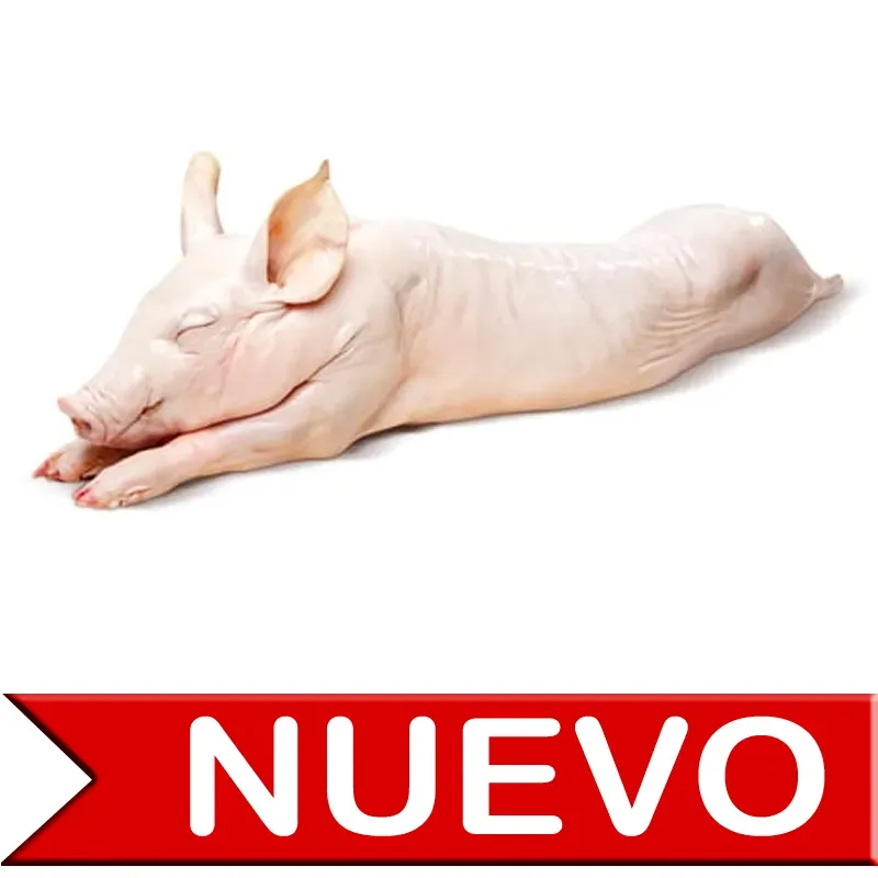 Cerdo entero (40 Lb)