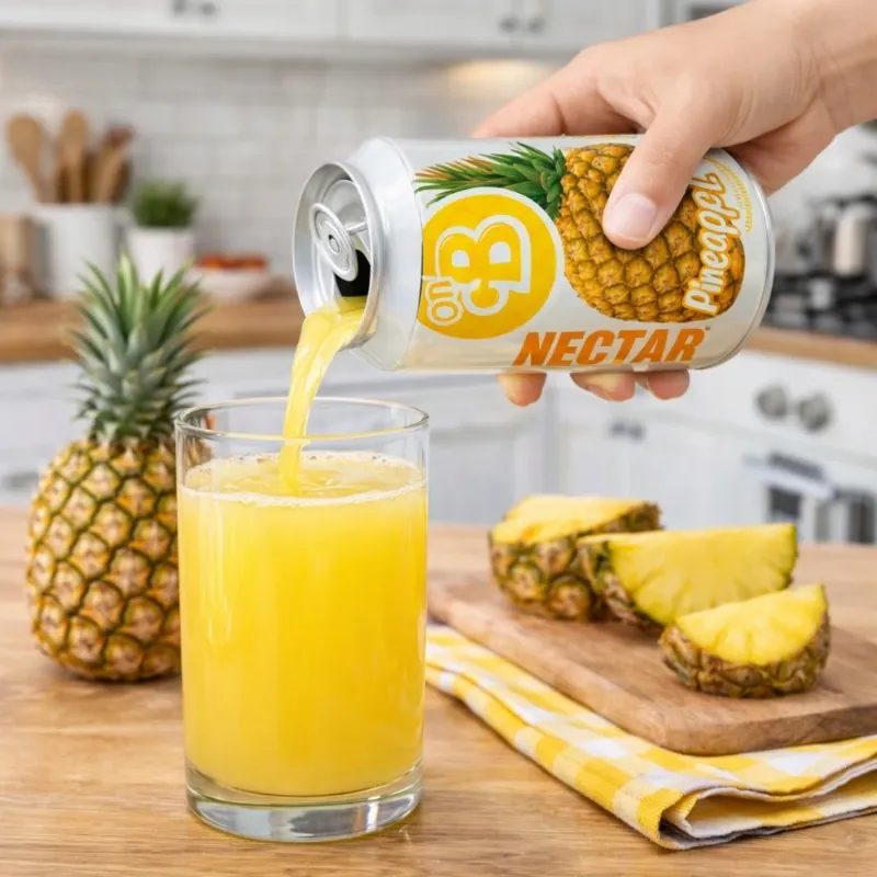 Néctar de Fruta sabor Piña (12 unidades de 330 ml)