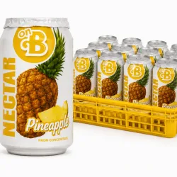 Néctar de Fruta sabor Piña (12 unidades de 330 ml)