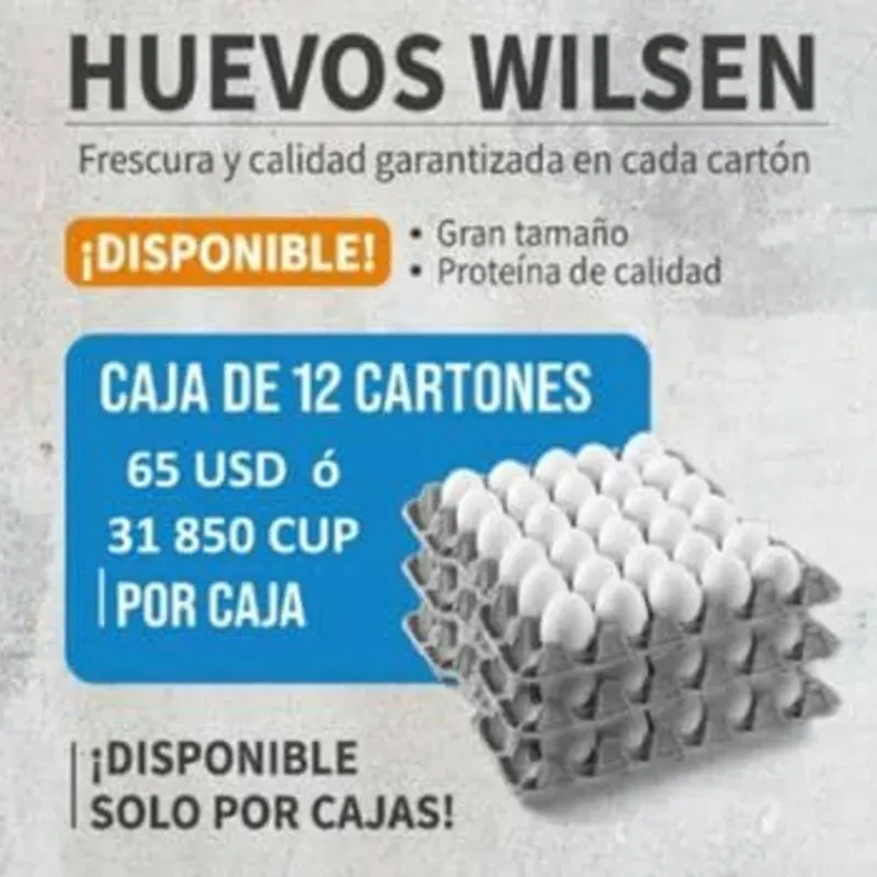 Huevo Wlisen 