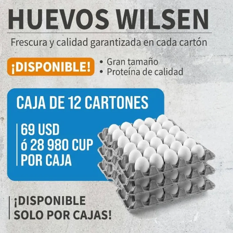 Huevos Wilsen 