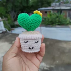 Cactus Feliz