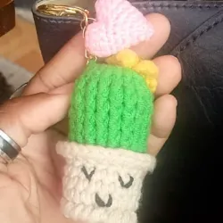 Mini Cactus Dormilón