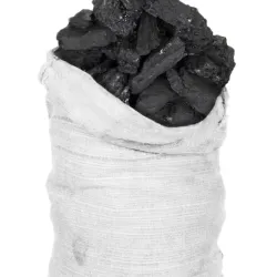 Carbon vegetal