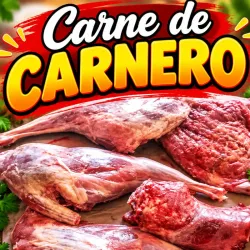 Carne de carnero xlb