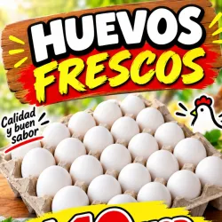 Fili de huevos