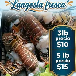 Langosta