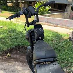 Bicicleta eléctrica 750W 48v 15Ah