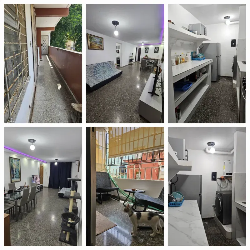 Apartamento 1 piso en el vedado ( me ajusto)