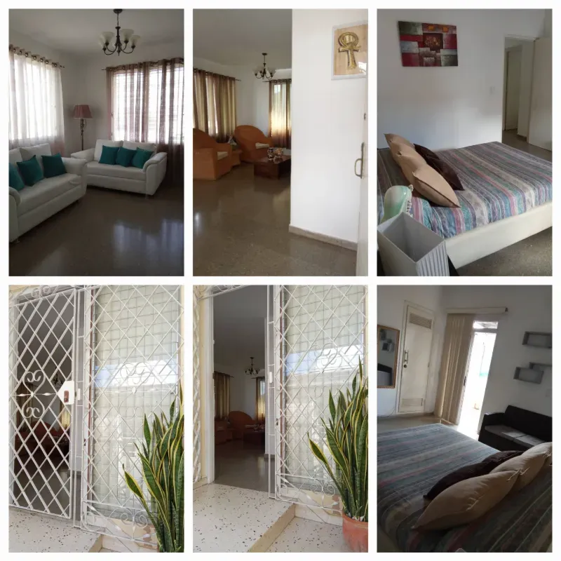 Biplanta en altos ( precio ajustable)