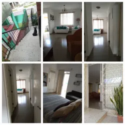 Biplanta en altos ( precio ajustable)