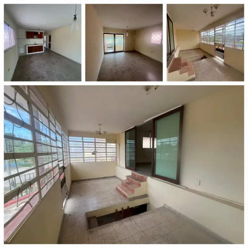 Biplanta en el Mónaco