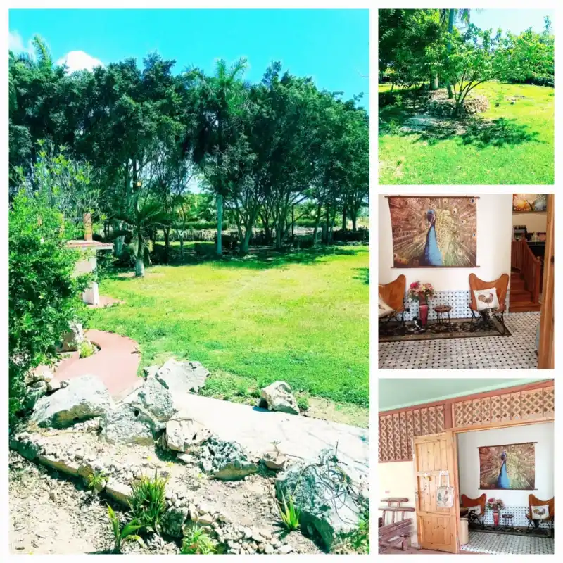 Finca cerca del Hotel Oasis