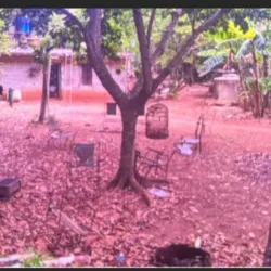 Finca en cojimar