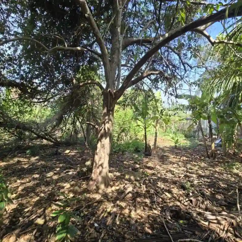 Terreno en celimar