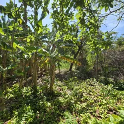 Terreno en celimar