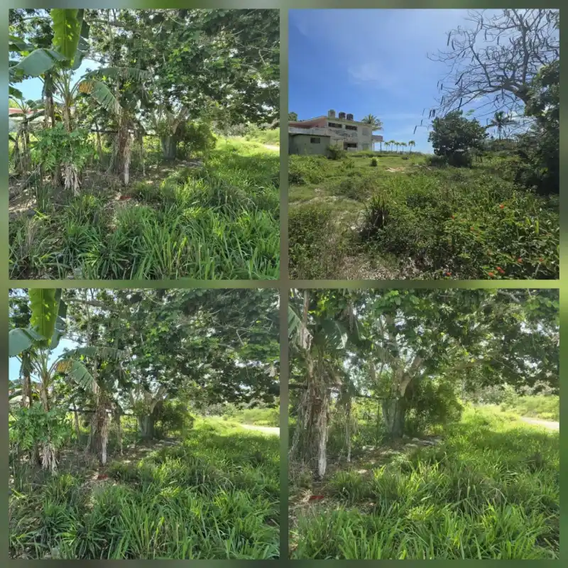 Terreno en santa maria