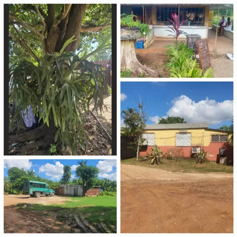 Venta de finca en fontanar
